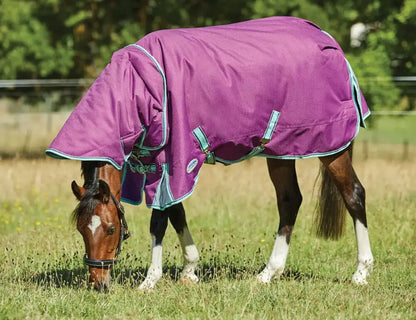 Weatherbeeta Comfitec Premier Freedom Pony Detach-A-Neck Medium Winter Blanket Winter Blanket