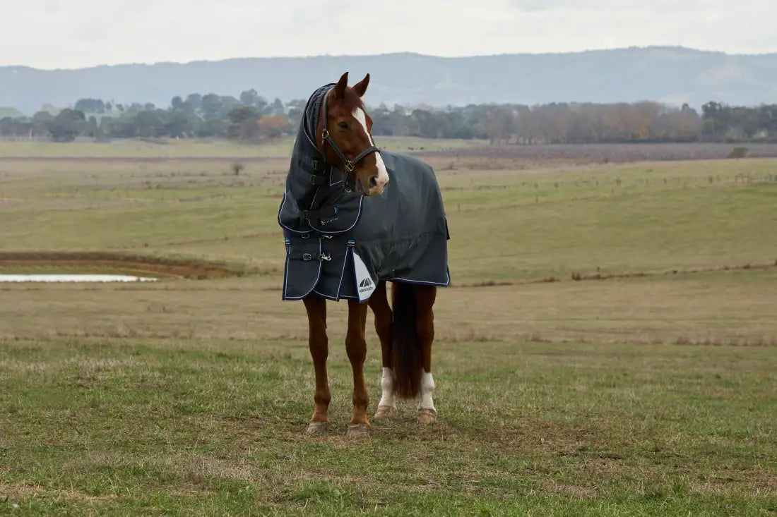 Weatherbeeta Comfitec Ultra Turnout Detach-A-Neck 360G Winter Blanket (With Snug-Fit/Cozi Guard Neck) Winter Blanket