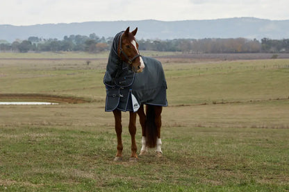 Weatherbeeta Comfitec Ultra Turnout Detach-A-Neck 360G Winter Blanket (With Snug-Fit/Cozi Guard Neck) Winter Blanket