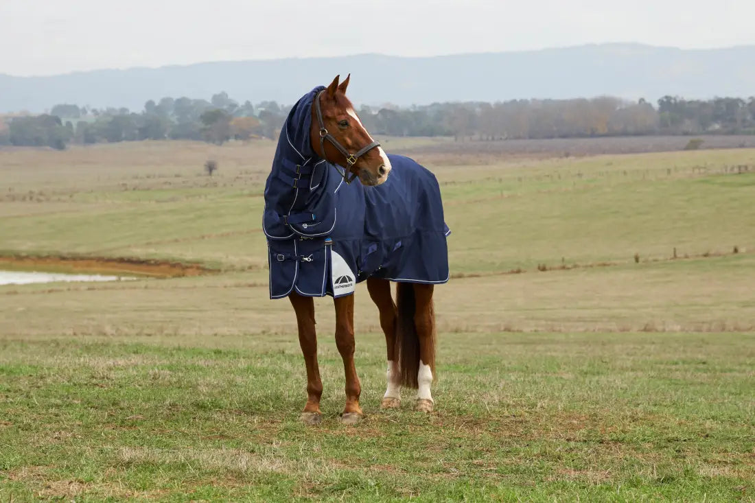 Weatherbeeta Comfitec Ultra Turnout Detach-A-Neck 360G Winter Blanket (With Snug-Fit/Cozi Guard Neck) Winter Blanket