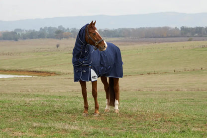 Weatherbeeta Comfitec Ultra Turnout Detach-A-Neck 360G Winter Blanket (With Snug-Fit/Cozi Guard Neck) Winter Blanket
