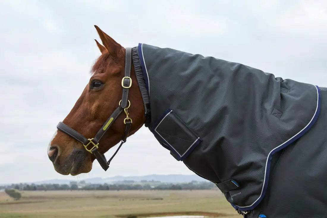 Weatherbeeta Comfitec Ultra Turnout Detach-A-Neck 360G Winter Blanket (With Snug-Fit/Cozi Guard Neck) Winter Blanket