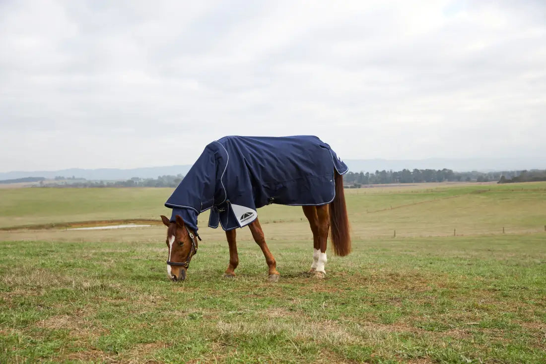 Weatherbeeta Comfitec Ultra Turnout Detach-A-Neck 360G Winter Blanket (With Snug-Fit/Cozi Guard Neck) Winter Blanket