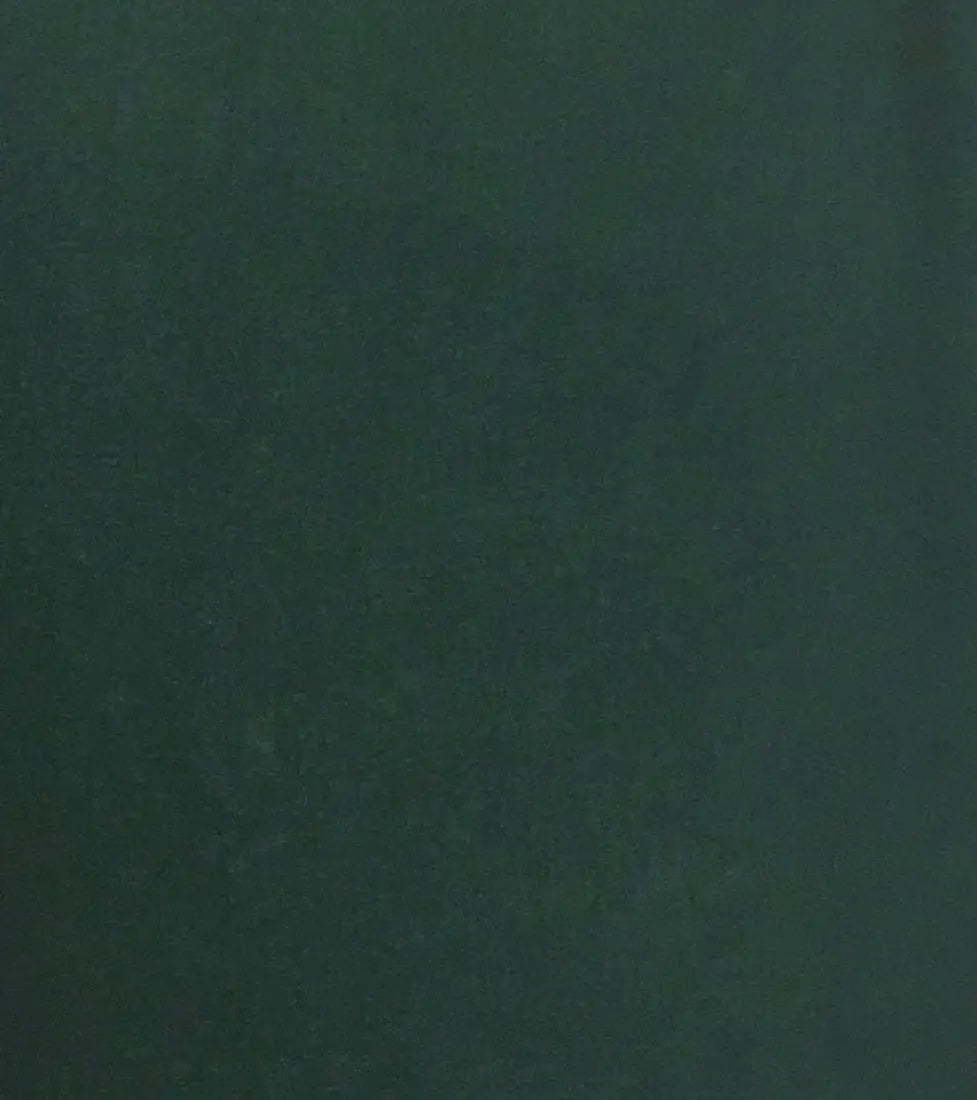 Wyoming Traders Solid Silk Wild Rag Eucalyptus Wild Rags & Scarves