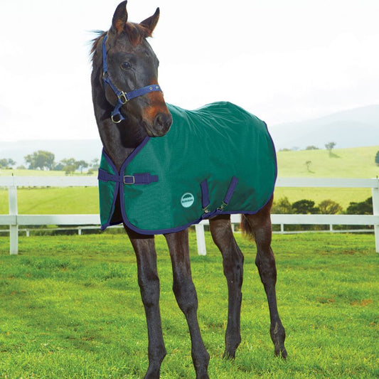 Weatherbeeta 1200D Standard Neck Foal Medium Winter Blanket