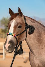 Load image into Gallery viewer, Professional&#39;s Choice Cowboy Braided Halter with 10&#39; Lead
