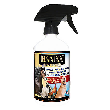 Banixx Horse & Pet Care Fungal/Bacterial Spray 16oz