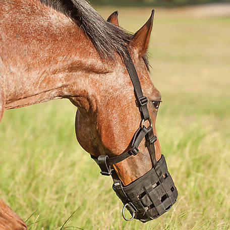 Cashel Grazing Muzzle Halter