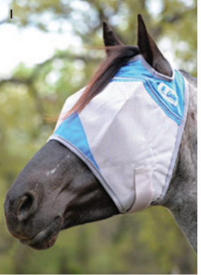 Crusader Colored NO Ear Fly Mask