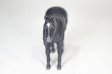Load image into Gallery viewer, Little Buster Black Quarter Horse
