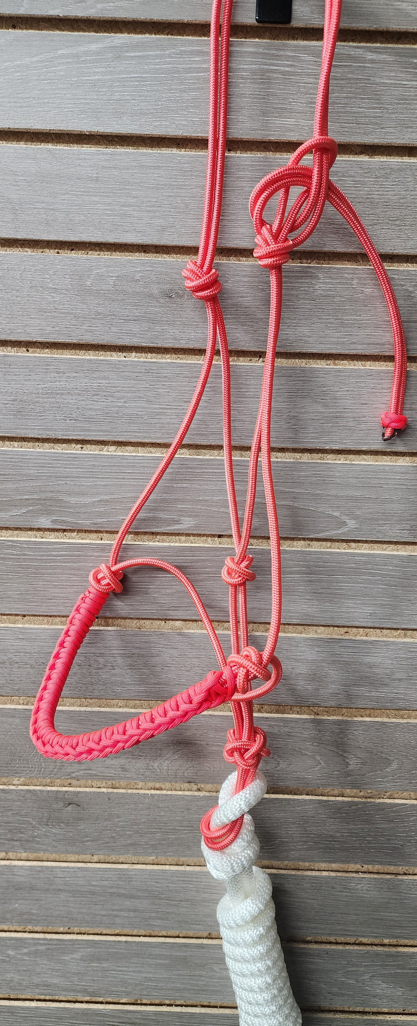 Braided Paracorde Noseband Halter