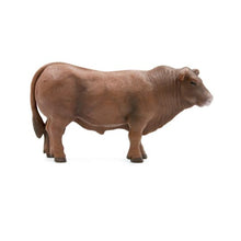 Load image into Gallery viewer, Little Buster Red Angus Bull
