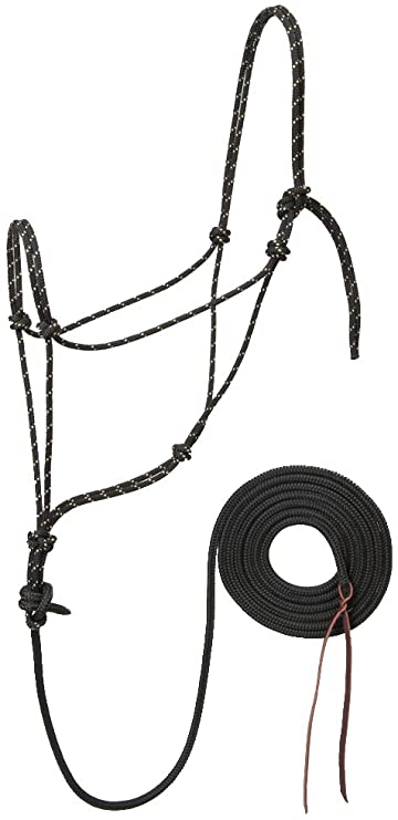 Weaver Leather Silvertip Trailblazer Halter with 12' Lead