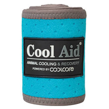 Load image into Gallery viewer, Weaver Coolaid (Synergy) Equine Cooling Polo Wraps
