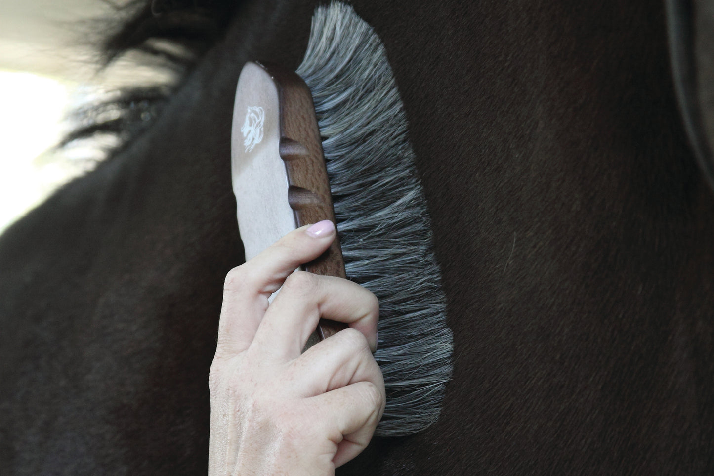 Professional's Choice Large Dandy Wooden Brush