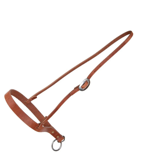 Reinsman 1" Herman Oak Single Ply Noseband