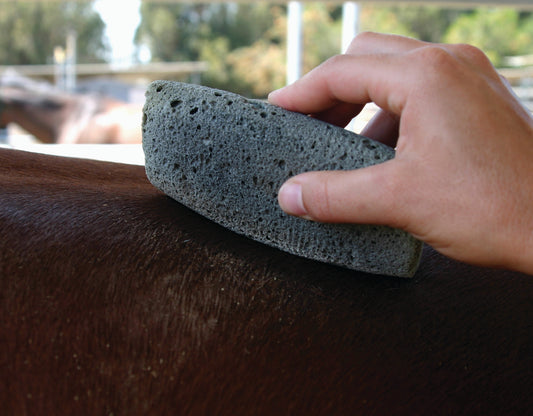 Professional's Choice Groomer's Stone