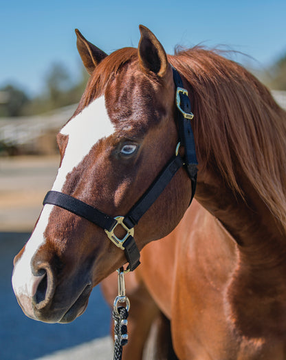 Professional's Choice Nylon Halter