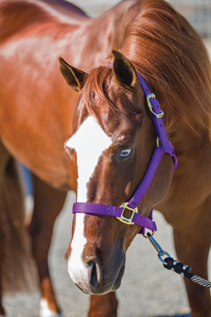 Professional's Choice Nylon Halter