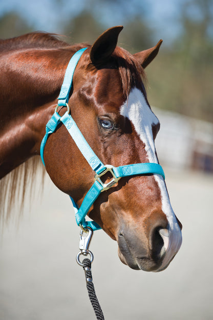 Professional's Choice Nylon Halter