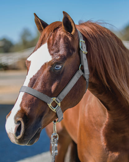 Professional's Choice Nylon Halter