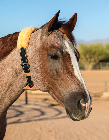 Professional's Choice The Dare - Cribbing Collar