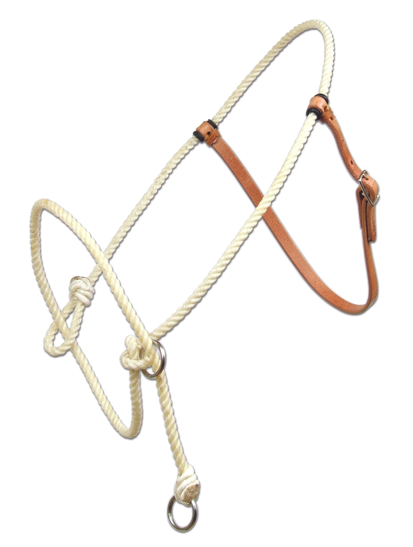 Professional's Choice Lariat Training Halter