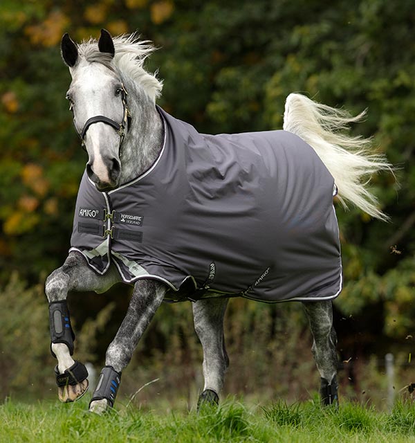 Horseware Amigo® Bravo 12 Original (250g Medium) Winter Blanket