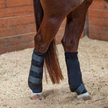 Load image into Gallery viewer, Classic Equine Ice Boots
