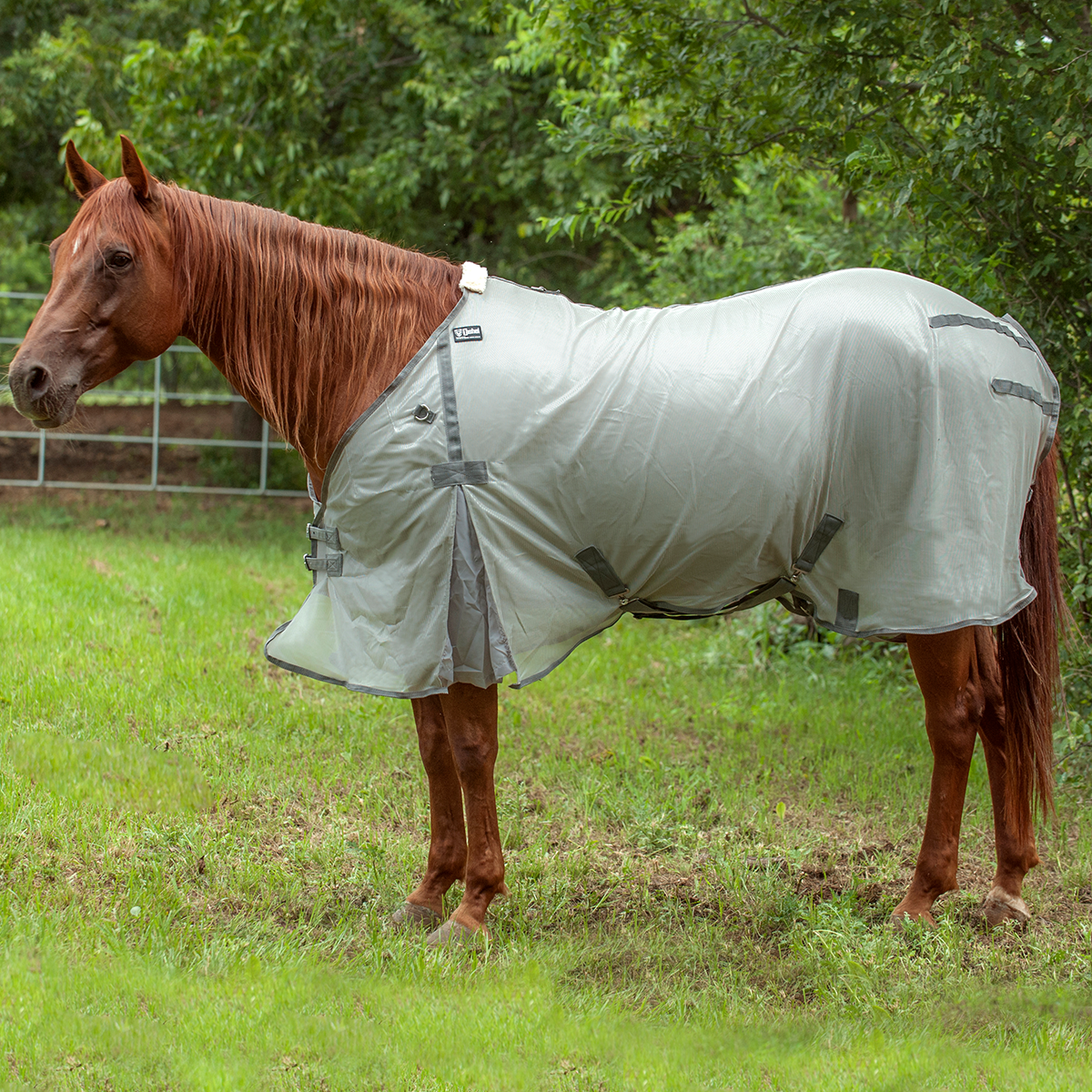 Cashel Econo Horse Fly Sheet