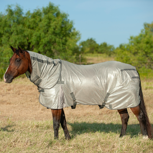 Cashel Econo Horse Fly Sheet with Neck Guard