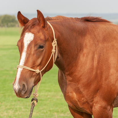 Classic Equine Premium Rope Halter with Lead