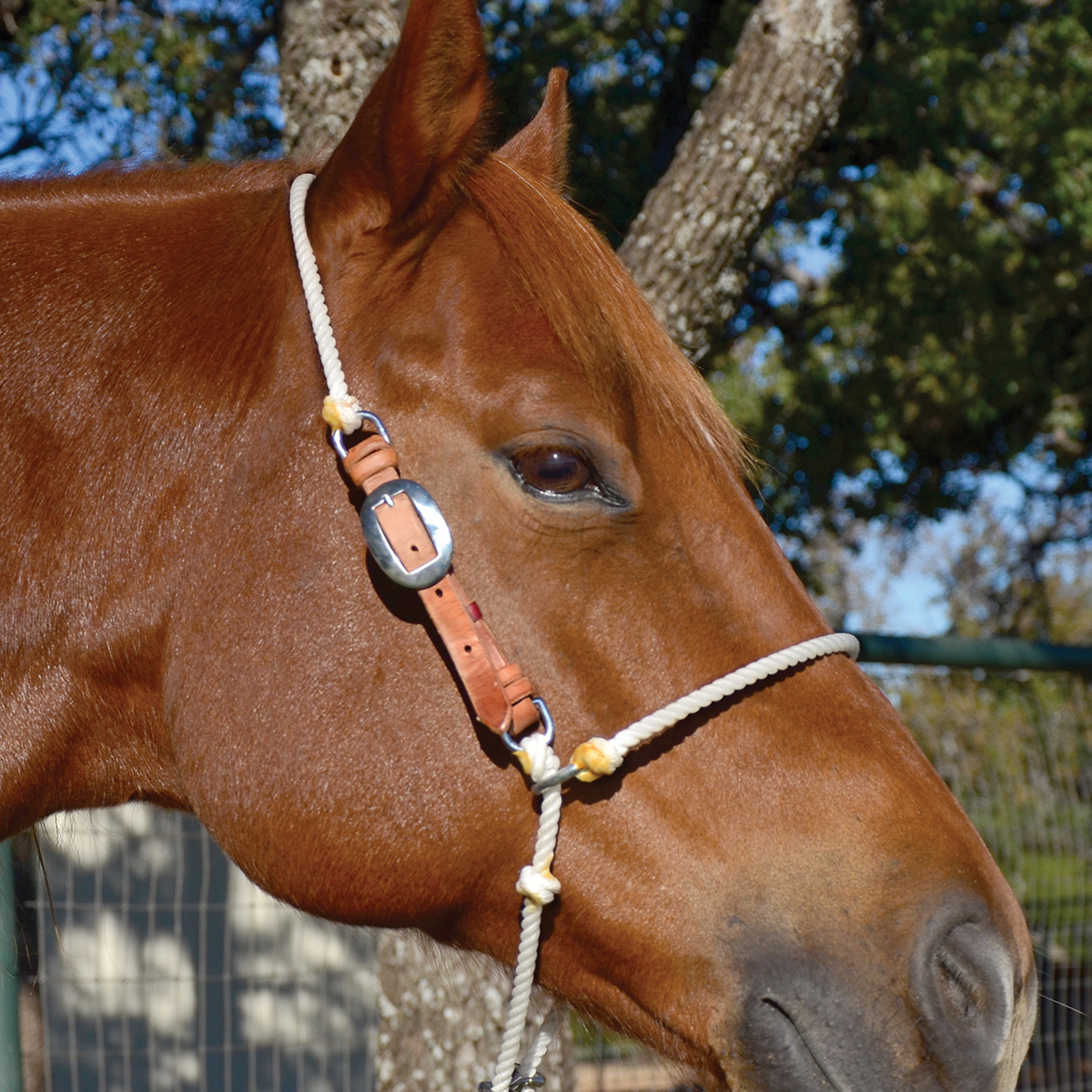 Martin Adjustable Rope Headsetter