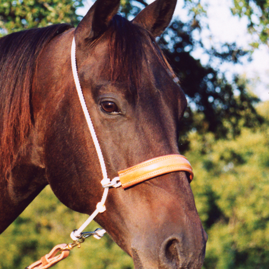 Martin Leather Nose Headsetter Tiedown