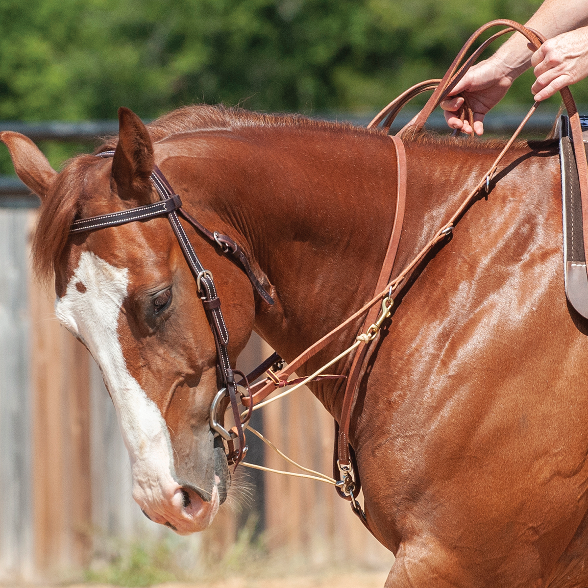 Phil Haugen German Martingale