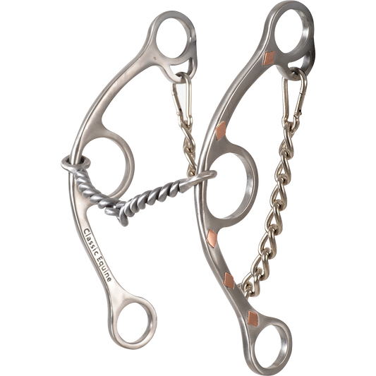 Sherry Cervi Barrel Bit Diamond II Gag Long Shank - Stainless Steel