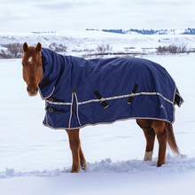 Load image into Gallery viewer, Classic Equine 10K Cross Trainer Winter Blanket - Hooded
