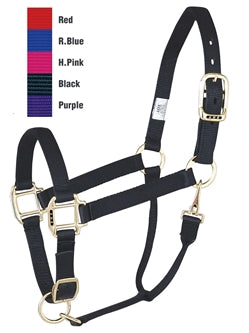 Draft Halter