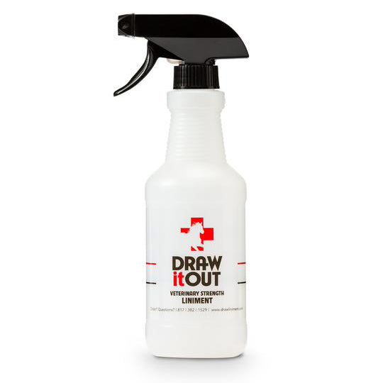 Draw It Out Spray Bottle