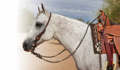 Professional's Choice Rawhide Romal Reins