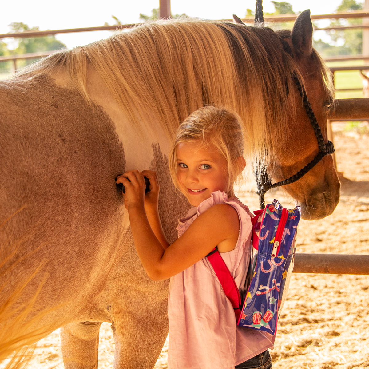 Classic Equine Kids Groom Kit