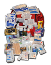 Load image into Gallery viewer, Equimedic Large Trailering Equine First Aid Kit
