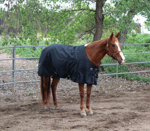 Professional's Choice 1200D Horse and Pony Blanket - Multiple Colors Available