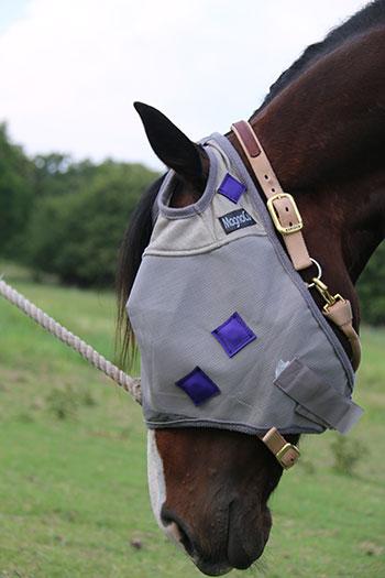 PHT MagnaCu Fly Mask