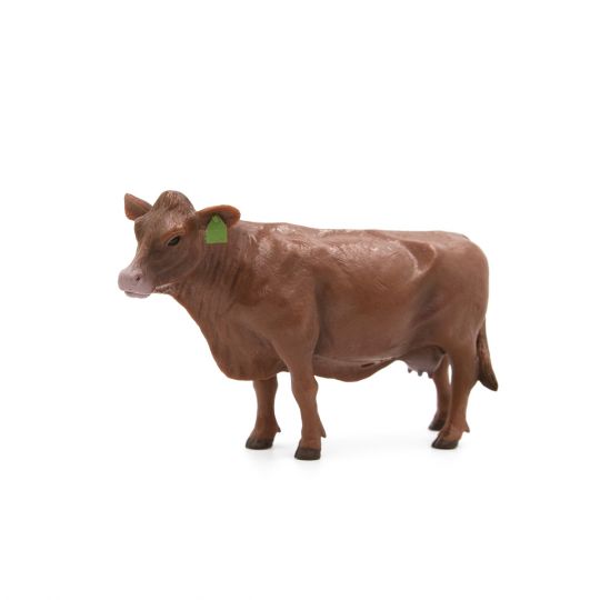 Little Buster Red Angus Cow