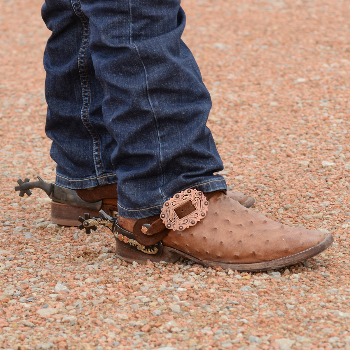 Martin Cowboy Spur Straps - Chocolate (Various Buckles)