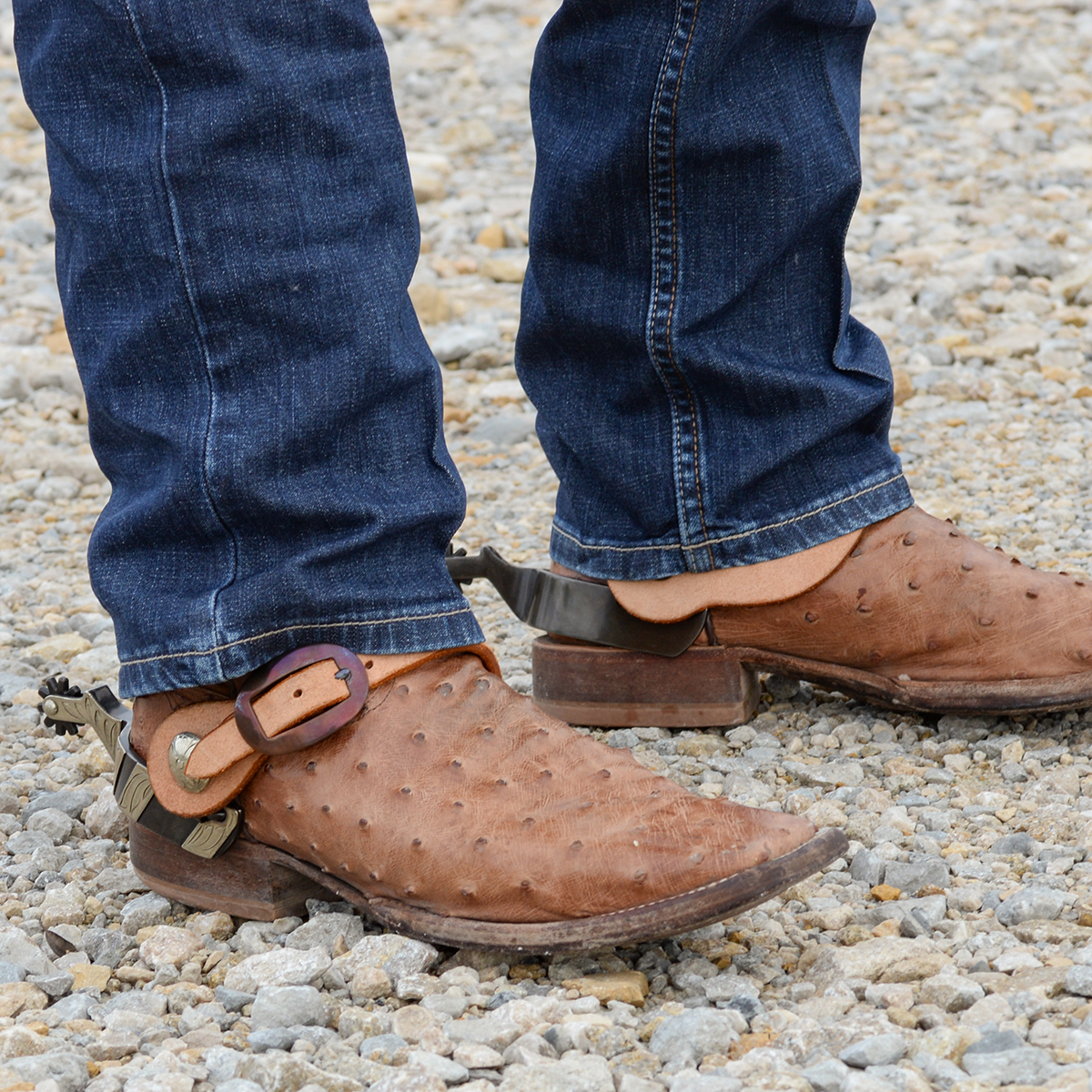 Martin Cowboy Spur Straps - Natural/Harness (Various Buckles)