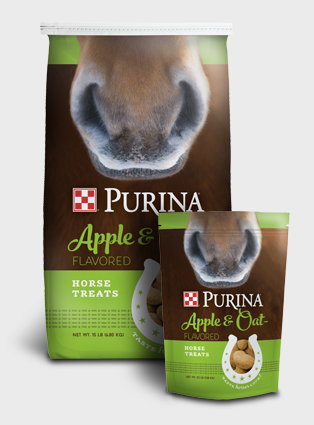 Purina Apple and Oat-Flavored Horse Treats