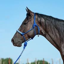 Cashel Braided Rope Nose Halter