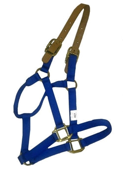 Breakaway Halter